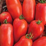 Roma tomatoes nutrition facts