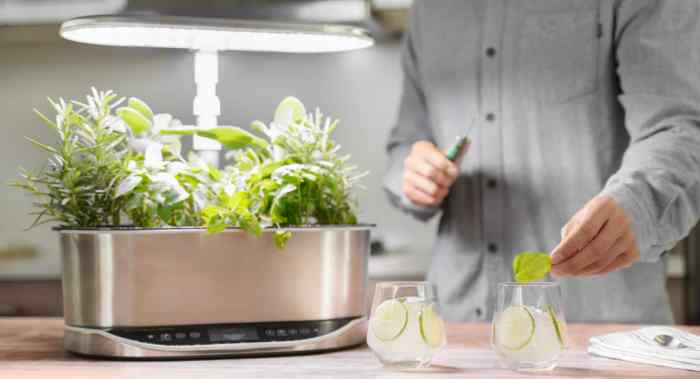 Can you plant your own seeds in aerogarden