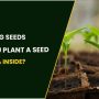 Can You Plant Seeds Directly Into Soil?