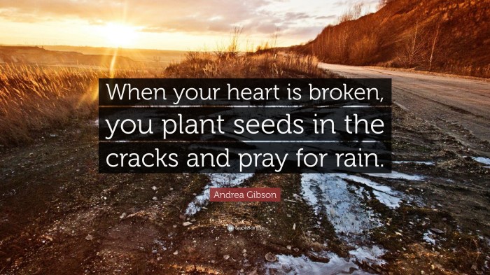 Can you plant seeds after rain