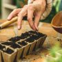 Can You Plant Seeds Directly in the Garden?