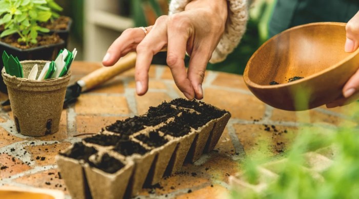 Can you plant seeds directly in the garden