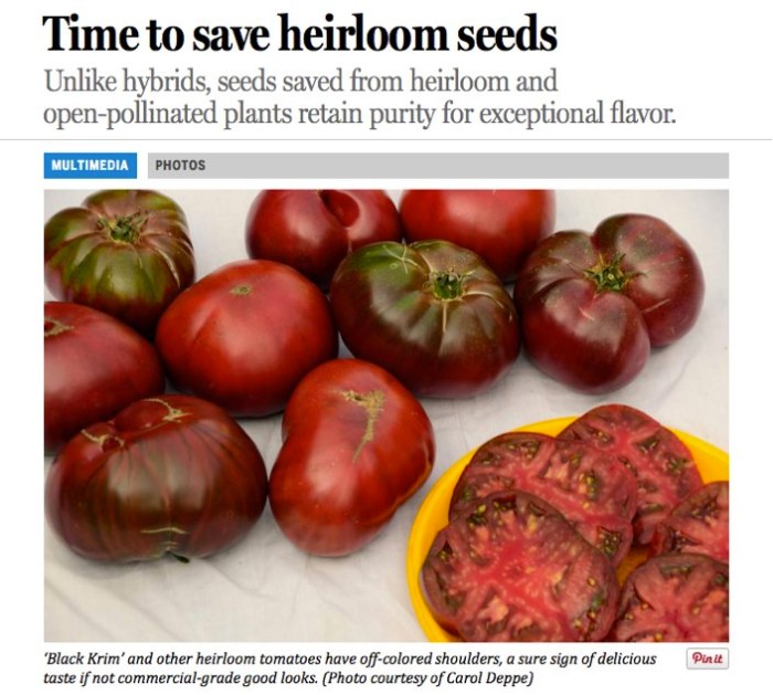 Heirloom seeds harness past power sustain gardening