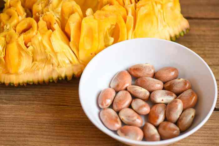 Jackfruit seeds seed