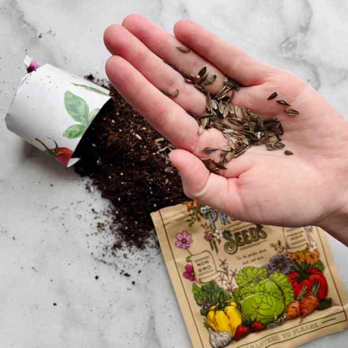 Can you plant wildflower seeds in february