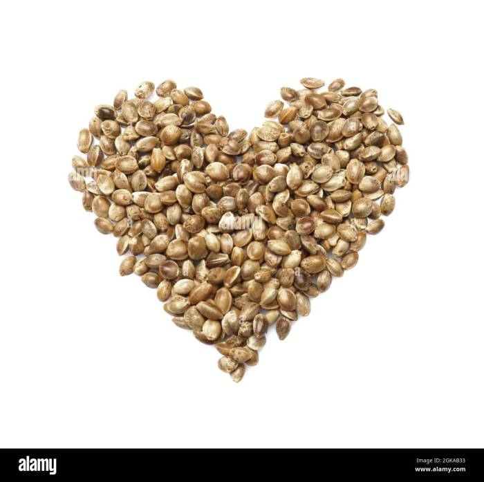 Can you plant hemp seed hearts