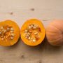 Can You Save Squash Seeds and Plant Them?