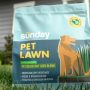 Can You Plant Grass Seed With Dogs?