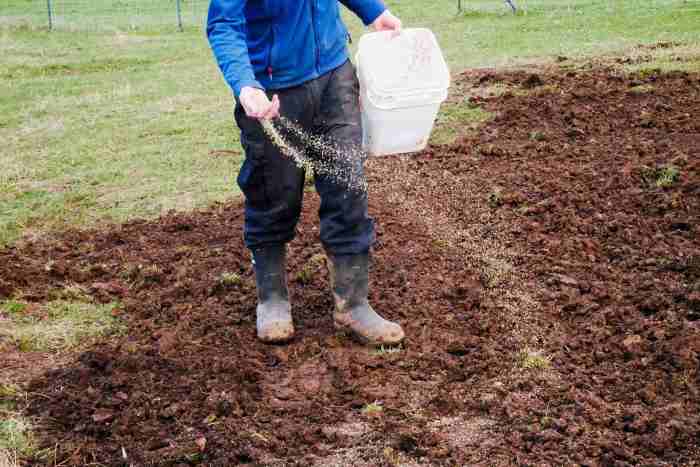 Can you plant grass seed without aerating