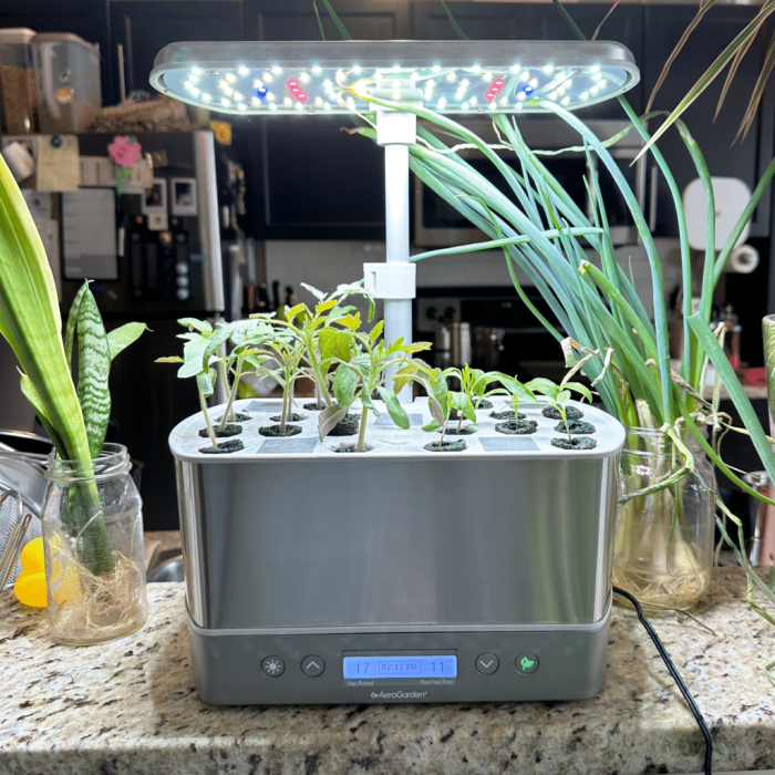 Can you plant your own seeds in aerogarden