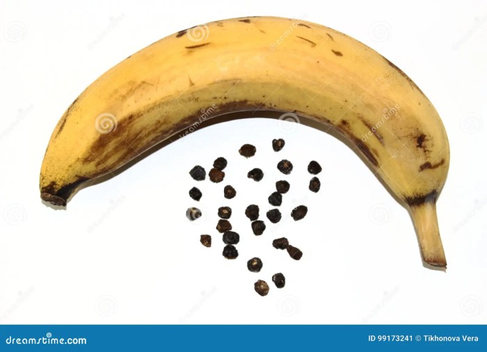 Can you plant seeds from a banana